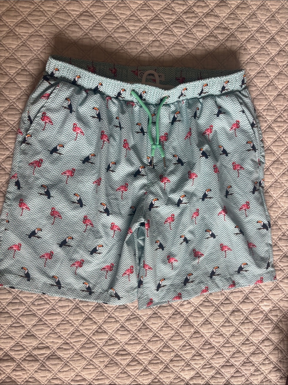 Blue Flamingo & Toucan Print Men's Swim Trunks with Green Drawstring- Large